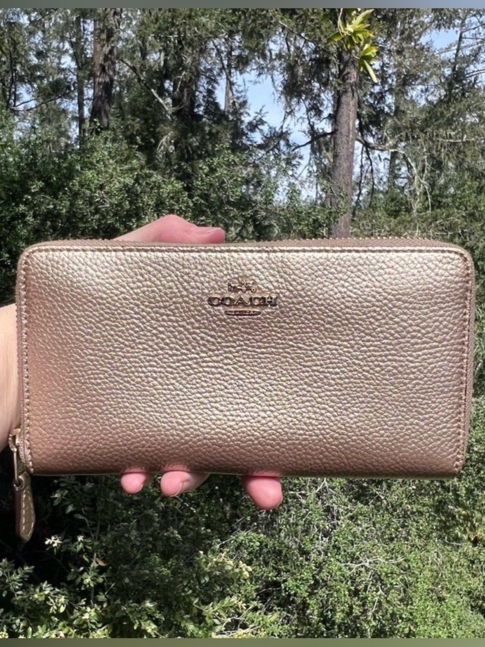 COACH Long Zip-Around Pebble Leather Wallet Gold w Gold Hardware AUTHENTIC
